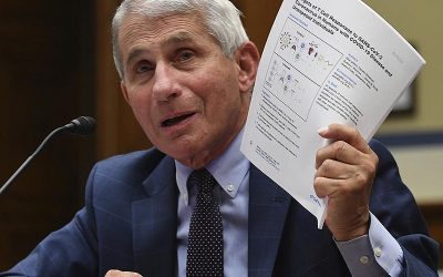 REVEALED: Fauci’s Recent, $10M Monkeypox Grant.