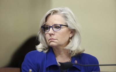 Liz Cheney Just Got the Endorsement She Needs (Try Not to Laugh Too Hard)