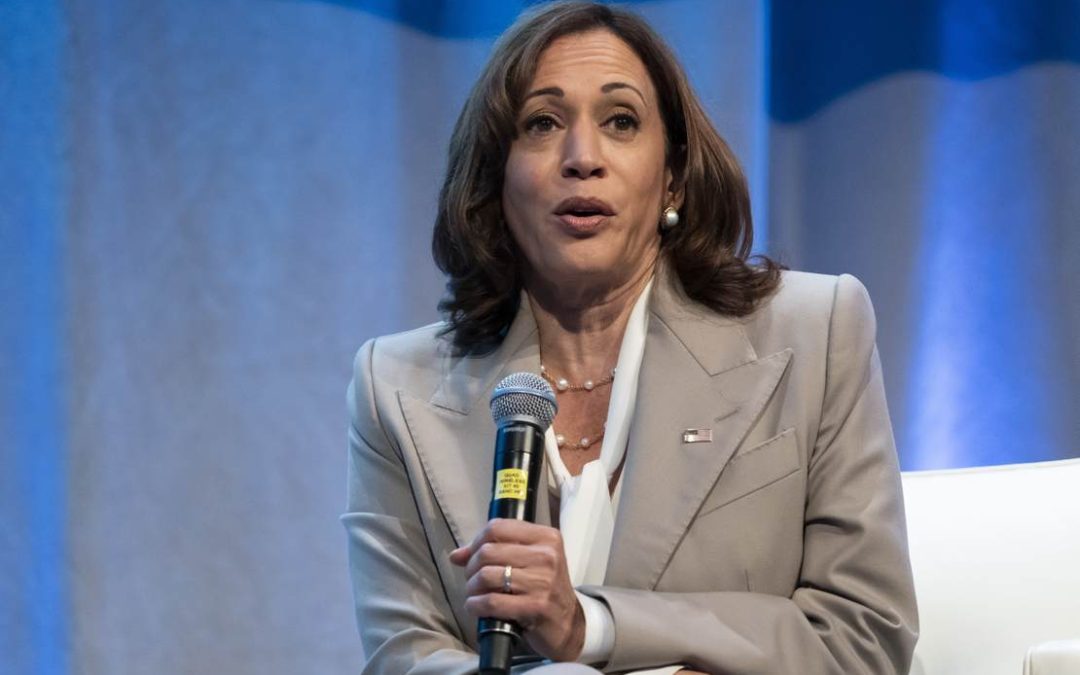 Buses of Illegal Immigrants Arrive at Kamala Harris’ House, Shrieking Ensues