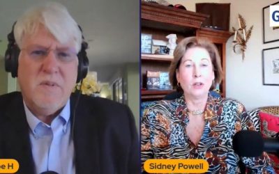 ANDREW WEISSMANN PART VI: Exclusive Interview with Attorney Sidney Powell – “I’m Very Concerned About the State of the Country Right Now”