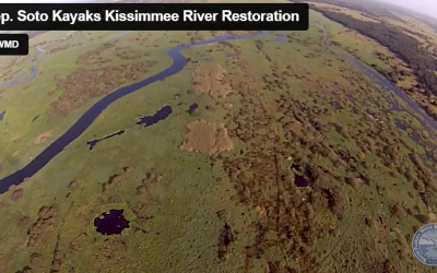 Astonishing footage shows transformation in key part of the Florida Everglades: ‘It’s absolutely amazing’