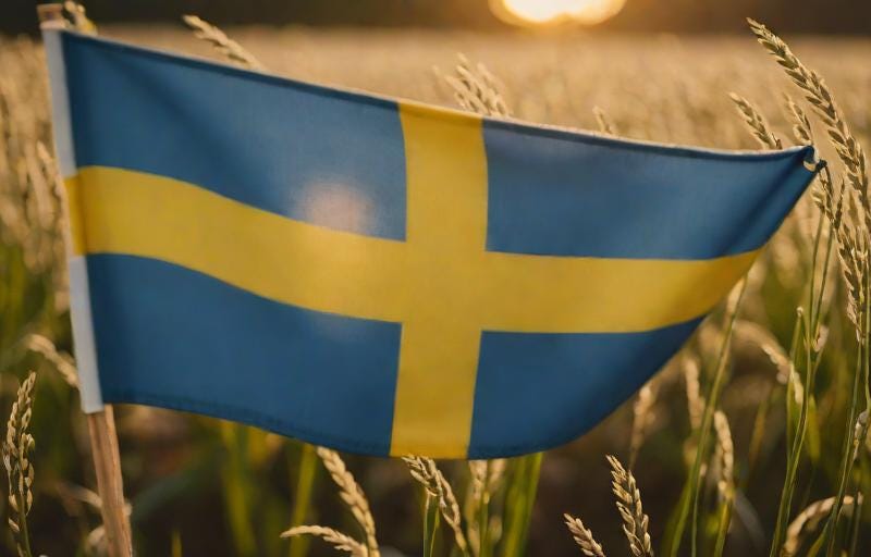 Sweden going AGAINST cashless agenda