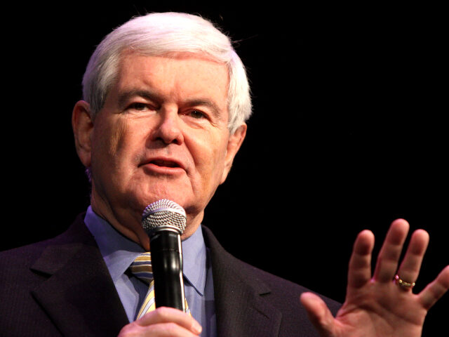 Newt Gingrich: Republicans Should Not Be Afraid of Government Shutdown