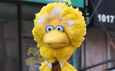 MSNBC Worries the Demise of Big Bird Could Send America’s Children Flocking to PragerU Kids