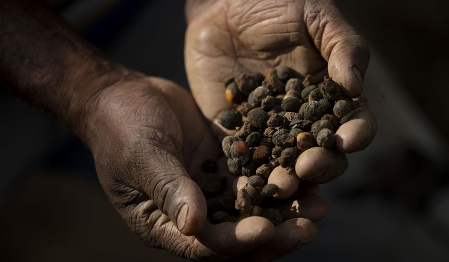 Tariff relief coming soon on coffee, bananas, Treasury Secretary Scott Bessent says