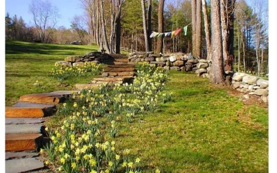 Can ‘Wellness Farms’ Improve Mental Health?