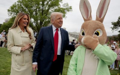 Happy Easter: Egg Prices Are Down 80%