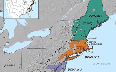 $65B lithium mother lode hidden beneath Appalachian Mountains could supply US with power for centuries