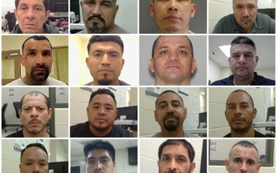 735 Criminal Illegal Aliens Arrested by ICE-Houston Officers in May — Nearly 1,200 with Violent Convictions, Including Murderers, Child Predators