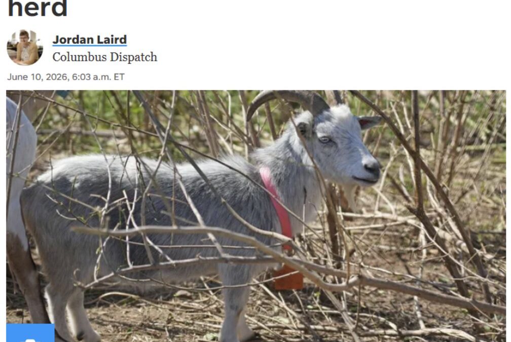 Columbus, Ohio Employee Unions Butt Heads With Goats