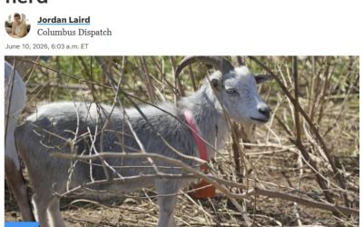 Columbus, Ohio Employee Unions Butt Heads With Goats